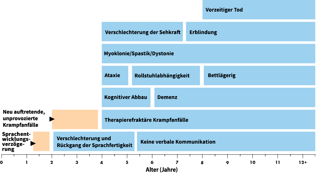 Die dargestellten Altersbereiche stellen Durchschnittswerte für den klassisch spät-infantilen Phänotyp dar. Atypische Phänotypen der CLN2-Krankheit können sich hinsichtlich Alter beim Ausbruch der Krankheit, Progressionsrate und Manifestation der Erkrankung unterscheiden.