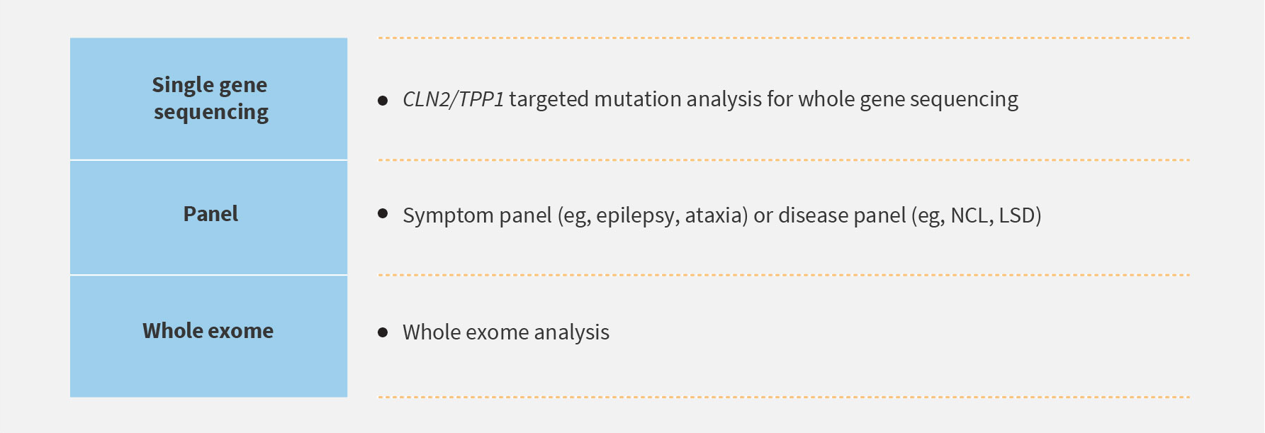 Molecular testing of CLN2/TPP1 gene