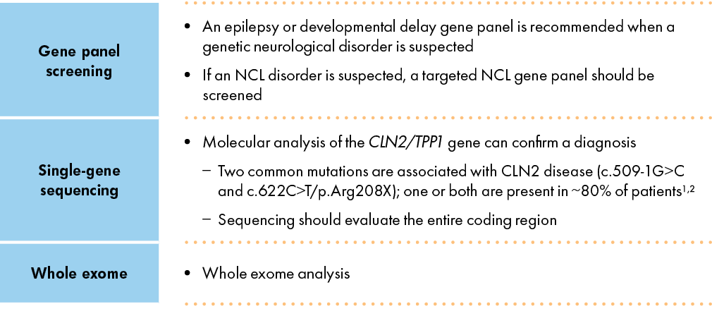 Molecular testing of CLN2/TPP1 gene