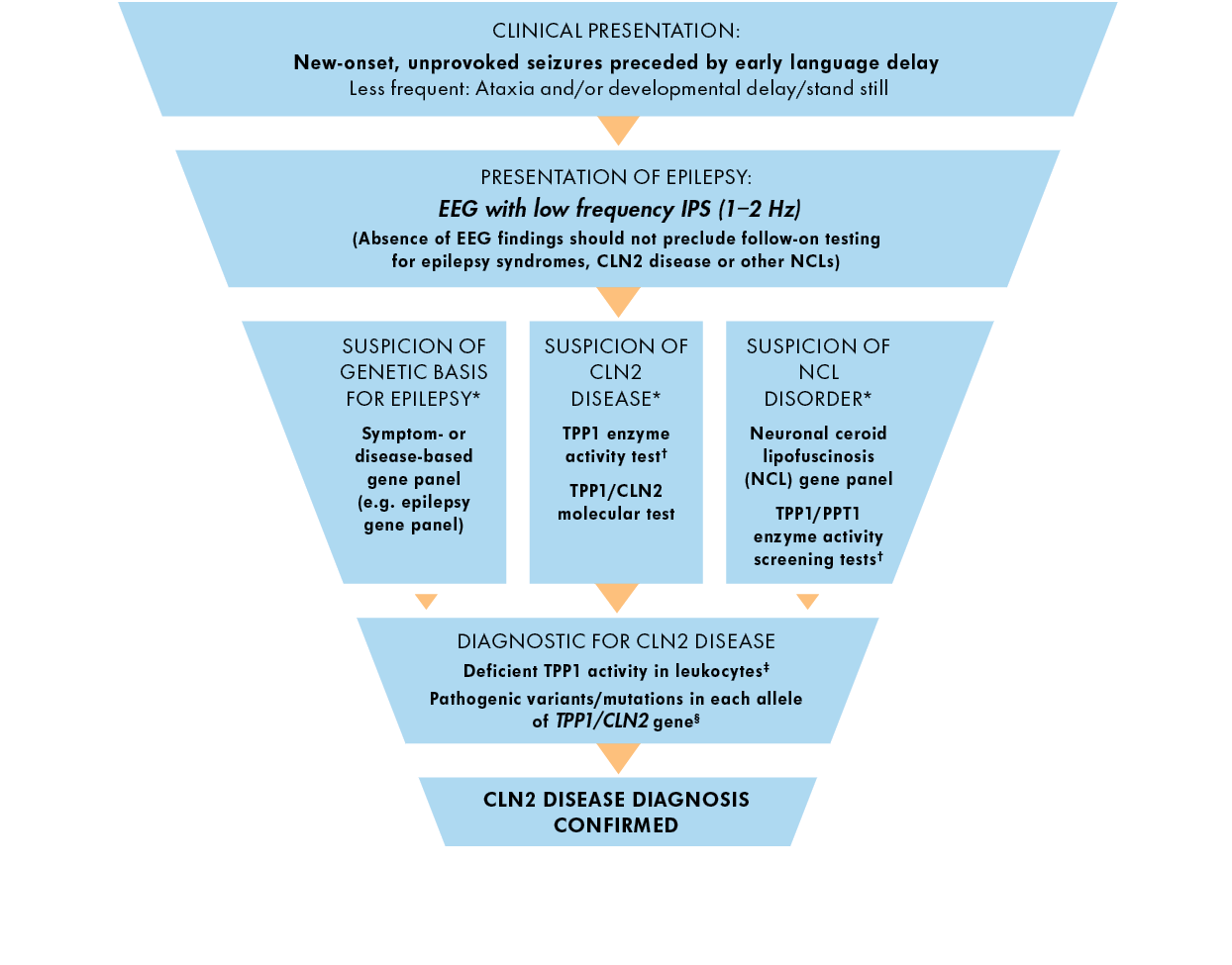 CLN2 disease diagnostic algorithm