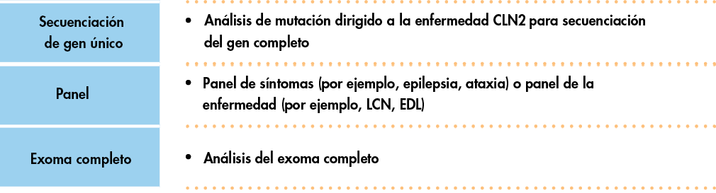 Molecular testing of CLN2/TPP1 gene