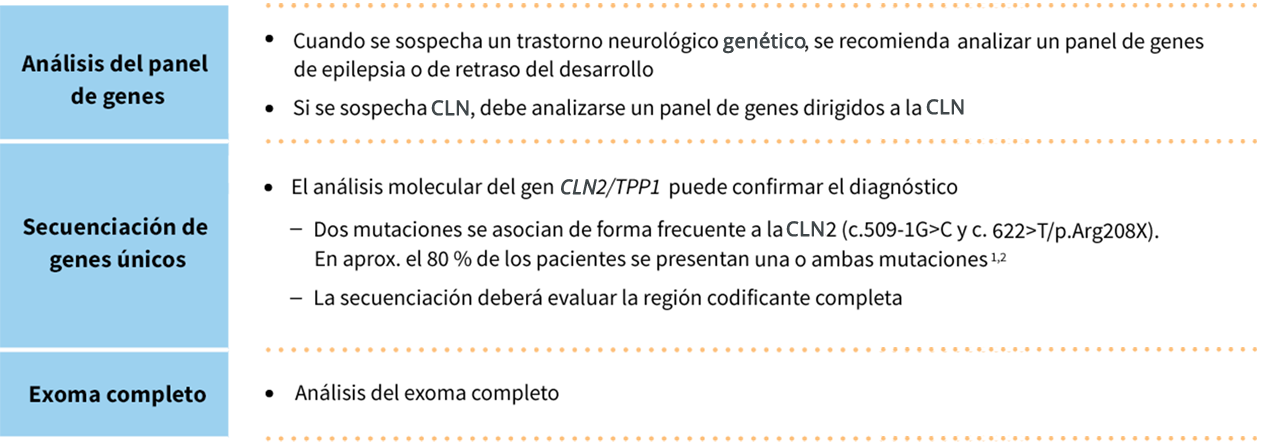 Molecular testing of CLN2/TPP1 gene