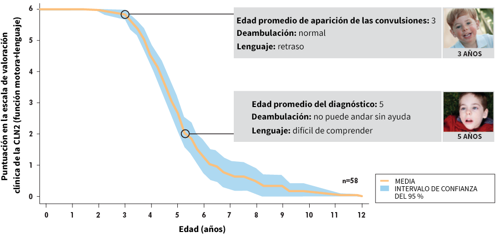 Datos de estudios longitudinales de 58 sujetos con CLN2 del registro DEM-CHILD. IC = intervalo de confianza.