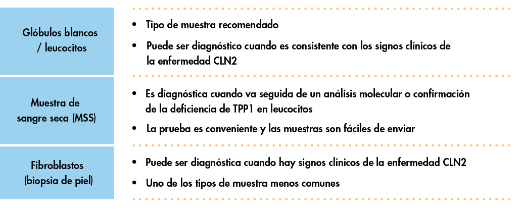 Enzymatic testing to assess TPP1 activity