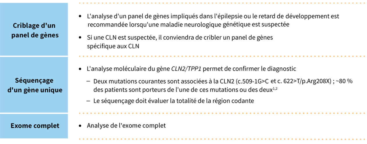 Molecular testing of CLN2/TPP1 gene