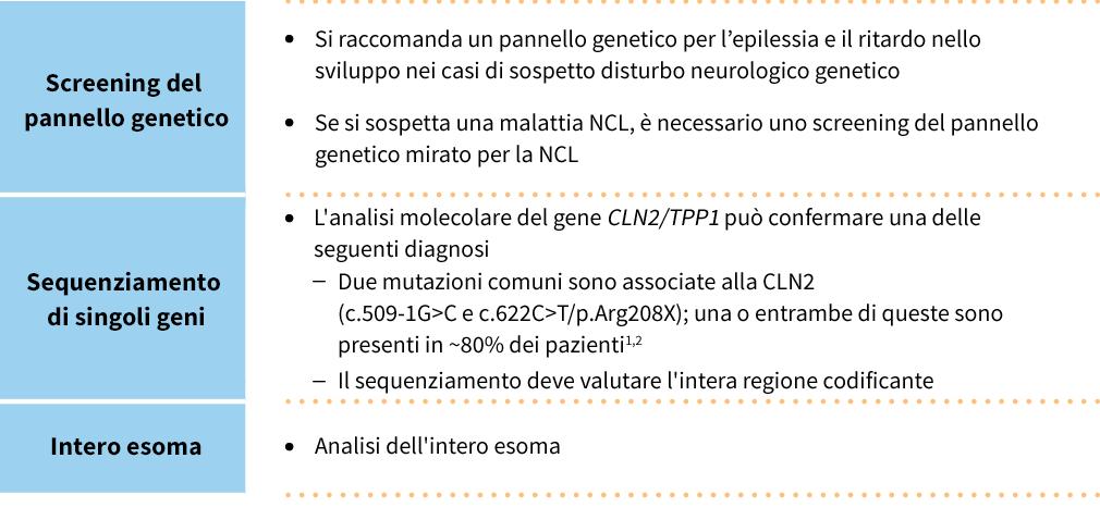 Molecular testing of CLN2/TPP1 gene