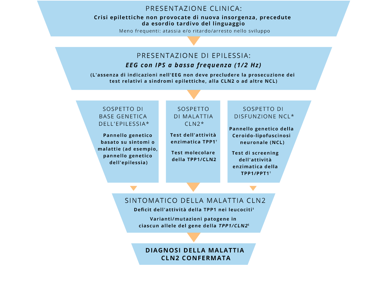 CLN2 disease diagnostic algorithm