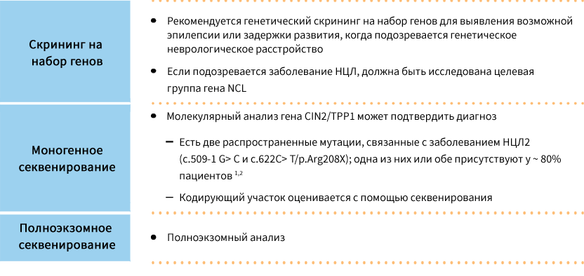 Molecular testing of CLN2/TPP1 gene