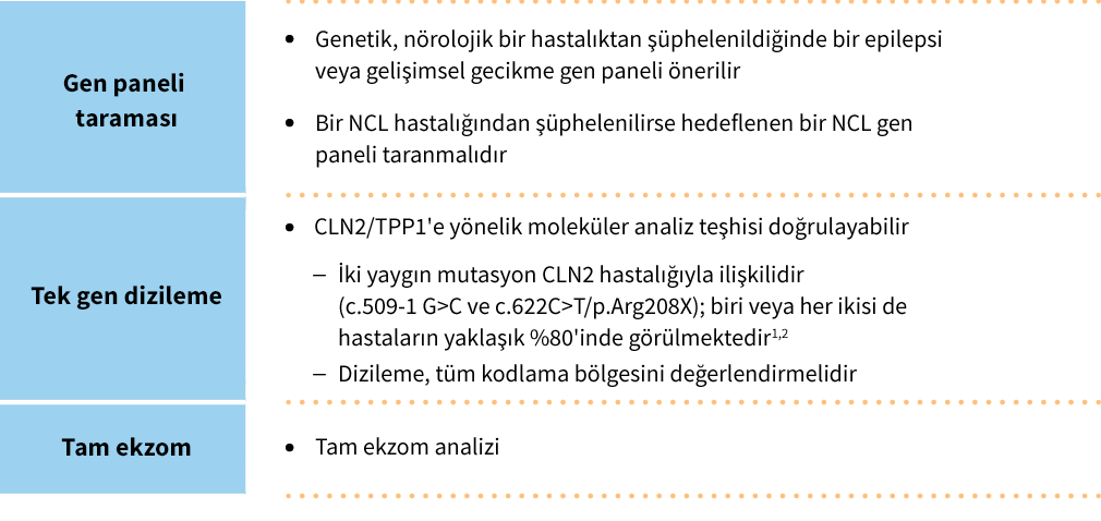 Molecular testing of CLN2/TPP1 gene