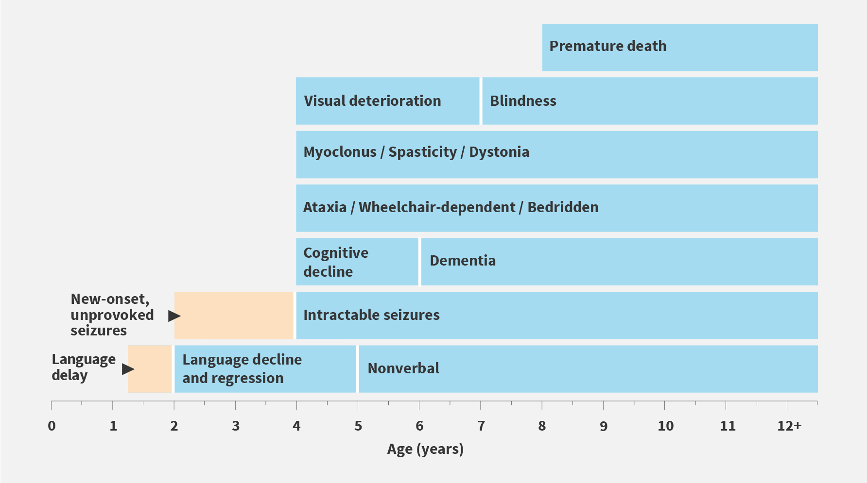 Age ranges depicted are averages for the classic late-infantile phenotype. Atypical phenotypes of CLN2 disease can vary in age of onset, rate of progression, and disease manifestation.